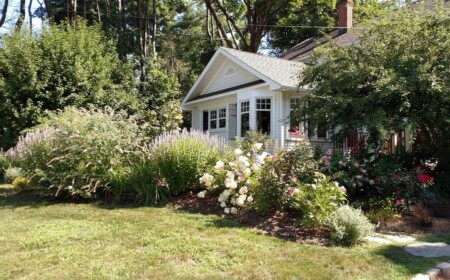 Bodendecker für den Vorgarten - schöne Ideen und Tipps