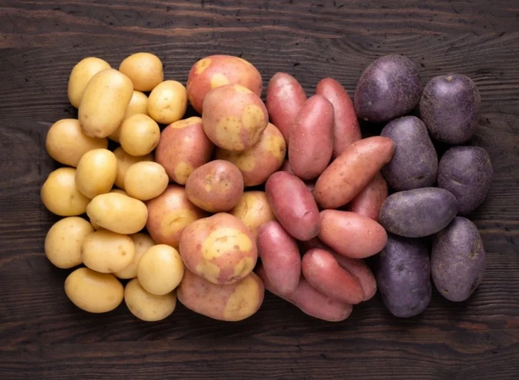 Die richtige Kartoffelsorte ist entscheidend für guten Kartoffelbrei
