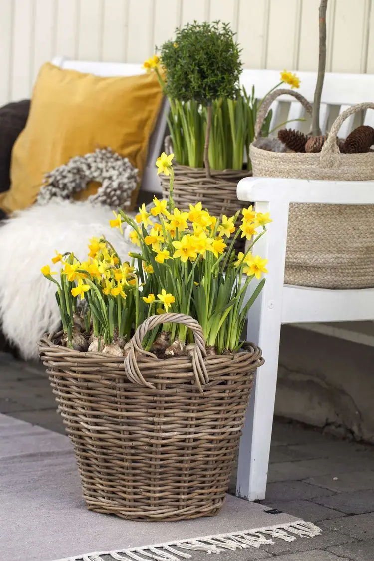 Einen Korb mit Frühlingsblumen bepflanzen und den Hauseingang zu Ostern dekorieren