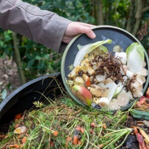 Fehler beim Kompostieren zu vermeiden ist für jeden Gärtner wichtig