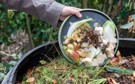 Fehler beim Kompostieren zu vermeiden ist für jeden Gärtner wichtig