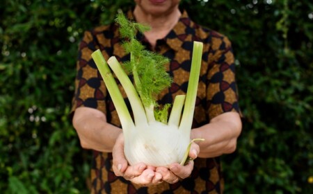 Fenchel anbauen - Befolgen Sie unsere Tipps für eine gute Ernte