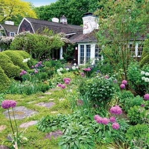 Garten für Anfänger - Diverse Vegetation setzen