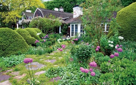 Garten für Anfänger - Diverse Vegetation setzen