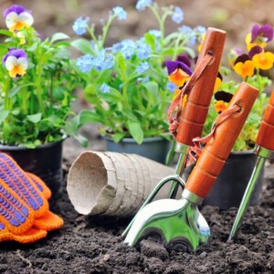 Gartenarbeit im April erledigen - Welche Aufgaben stehen an