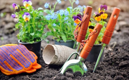 Gartenarbeit im April erledigen - Welche Aufgaben stehen an