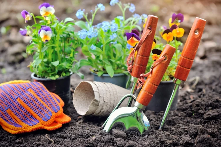 Gartenarbeit im April erledigen - Welche Aufgaben stehen an