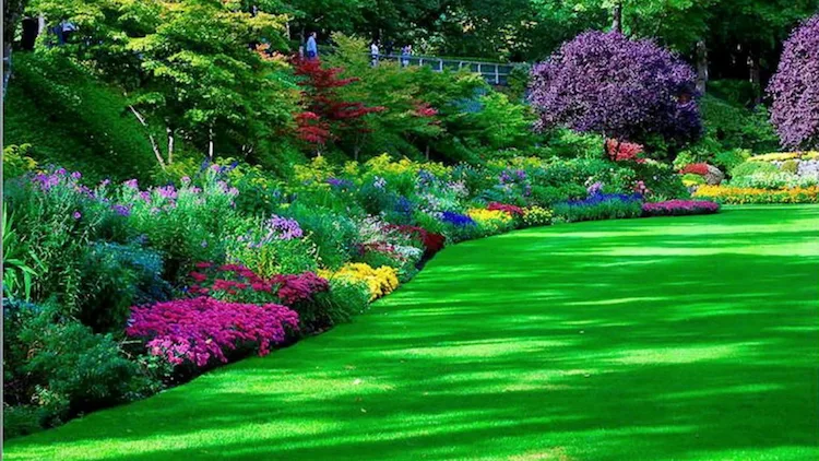 Gras grün färben verleiht Ihrem Rasen Frische und Schönheit