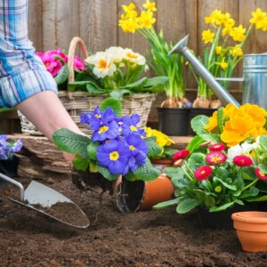 Ihre Blumenerde selber mischen ist billiger und umweltfreundlicher