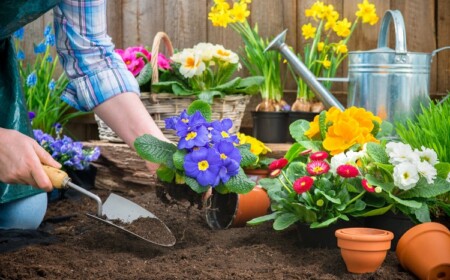 Ihre Blumenerde selber mischen ist billiger und umweltfreundlicher