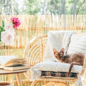 Kleinen Balkon gestalten und größer wirken lassen