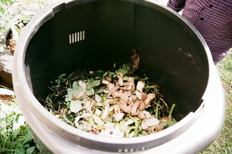 Kompost - Nahrungsquelle für Nagetiere