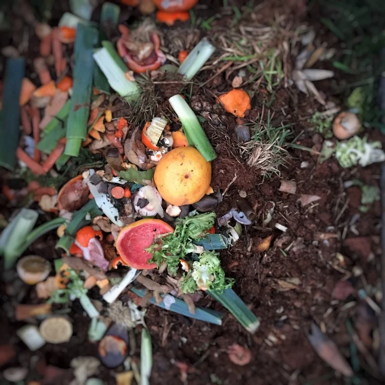 Komposter im Garten aus organischem Material machen