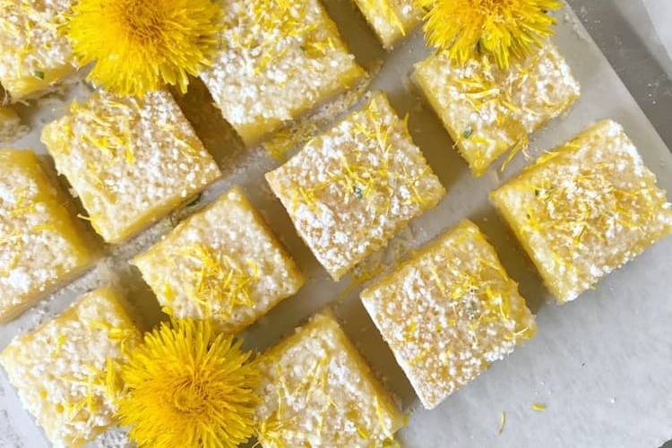 Backen Sie leckeren Kuchen mit Löwenzahn und Zitronen