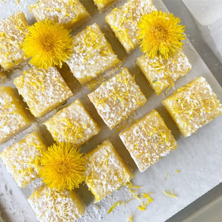 Backen Sie leckeren Kuchen mit Löwenzahn und Zitronen