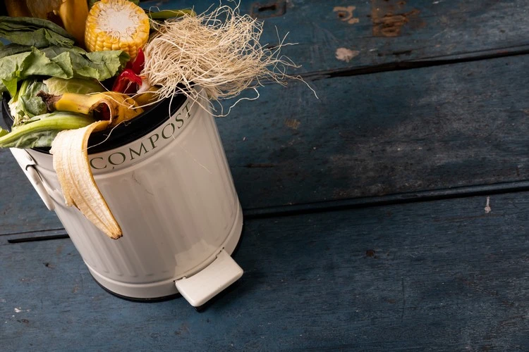 Organische Abfälle sind für Komposter ausgezeichnete Materialien