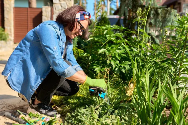Pflegeleichter Garten - vermeiden Sie bestimmte Pflanzen