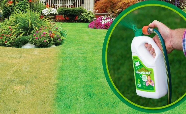 Rasen grün färben ist für Ihren Garten sicher und vorteilhaft