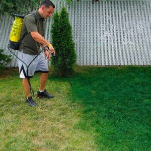 Rasen grün färben ist für Ihren Garten vorteilhaft und sicher