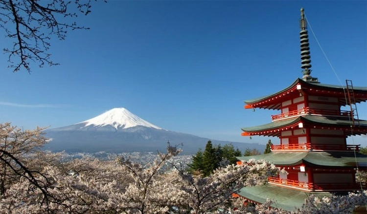 Reiseziele für den Frühling - Mount-Fuji ist bestimmt einen Besuch wert