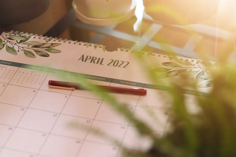Saisonkalender: Welches Obst und Gemüse bringt April?