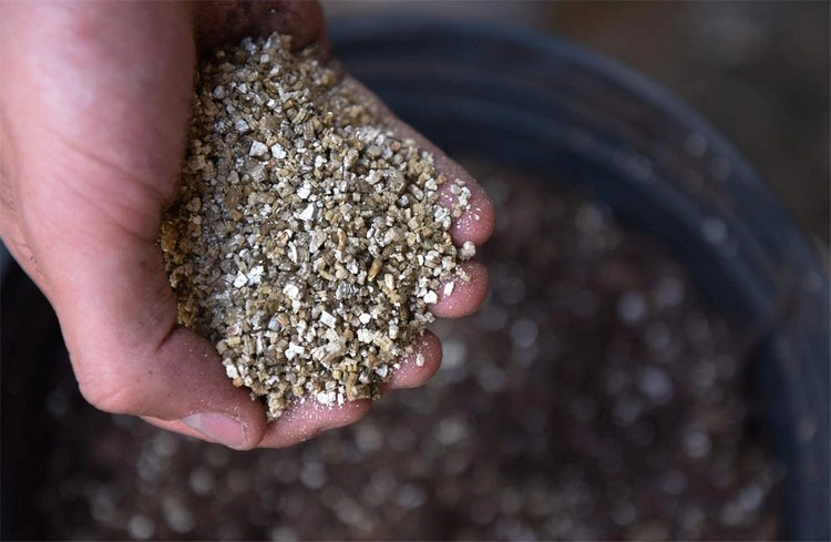 Vermiculit hält die Feuchtigkeit des Bodens