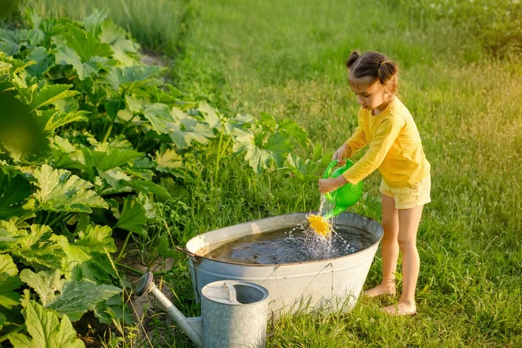 Wasser sparen im Garten, damit Sie nachhaltig gärtnern können
