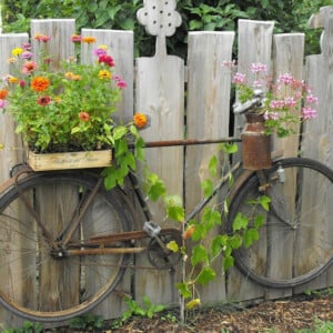 altes fahrrad als rostige gartendeko mit blumen an einem zaun befestigt