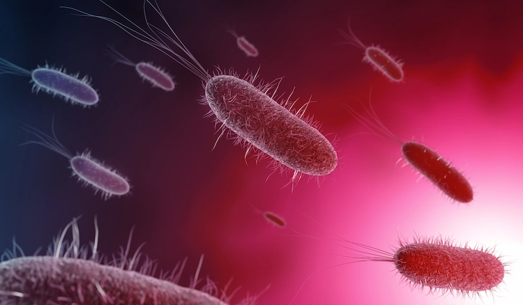 ausbreitung von gefährlichen und krankheitserregende bakterien