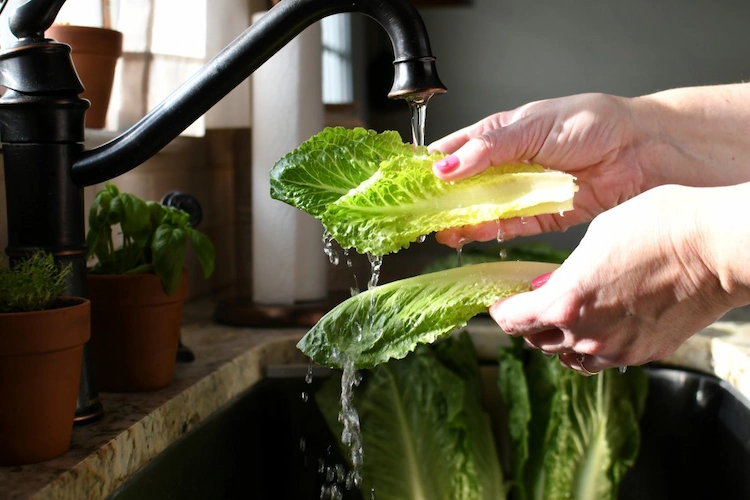 frau wäscht salat mit wasser vor dem verzehr gegen salmonelleninfektion symptome