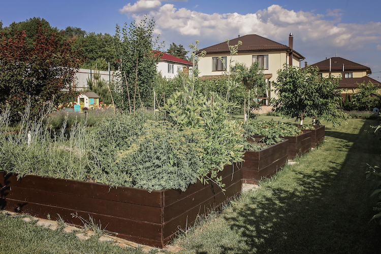 gartenbereich im frühling vom rasen aus beet befreien