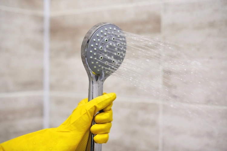 kalkablagerungen am duschkopf mit hausmitteln verhindern