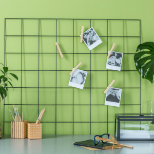minimalistische dekoration mit pflanze und fotos