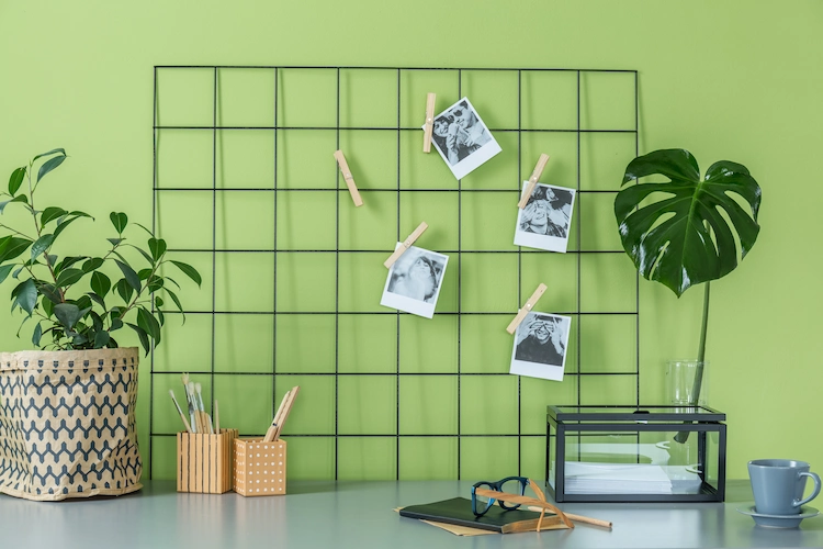 minimalistische dekoration mit pflanze und fotos