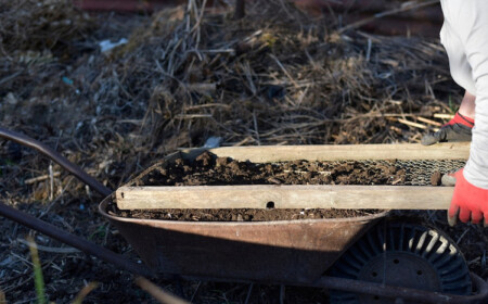 mit schubkarre im garten den feinen vom groben kompost sieben