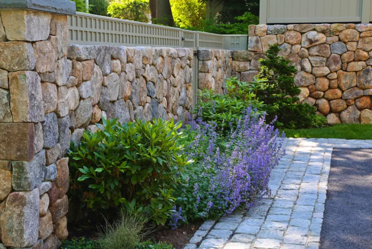 natursteinmauer im garten mit passender bepflanzung und gartenpfad aus pflastersteinen