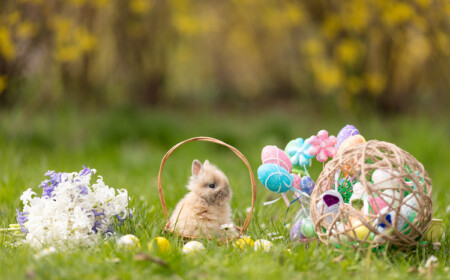 warum osterhase zu ostern gehört und woher die tradition kommt