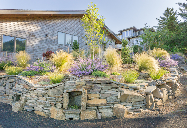 ziegräser wie elefantengras und lavendel als teil der gartengestaltung mit natursteinmauerwerk