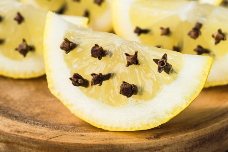 Abwehrende Zitrone mit Nelken zum Obst in der Obstschale legen