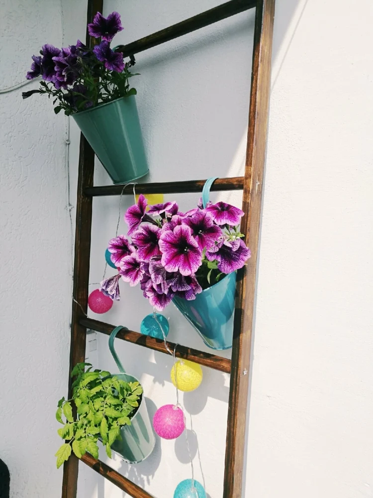Balkon-Wand verschönern ohne Bohren mit einer Leiter zum Anlehnen für Blumentöpfe