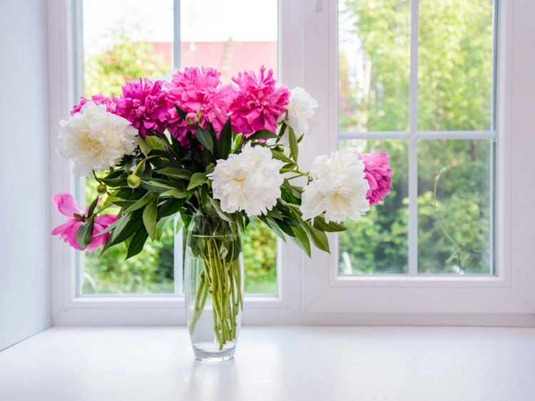 Blumen haltbar machen - 4 einfache und schnelle Methoden