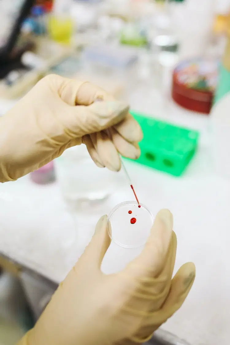 Blutuntersuchung im Labor Diagnose durch Arzt