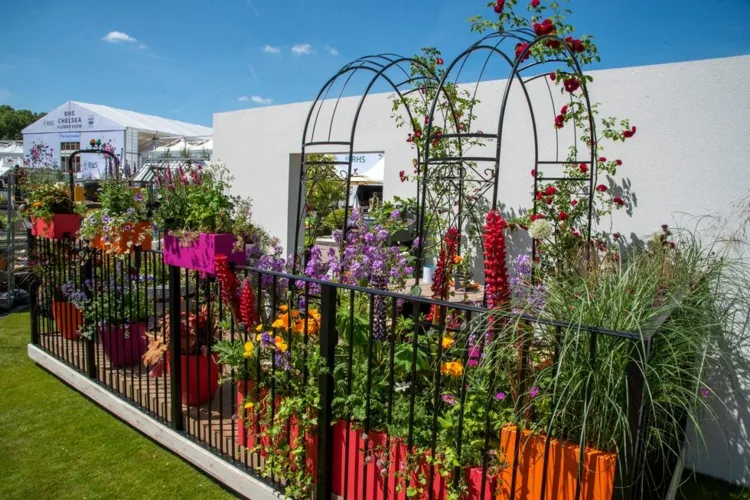 Cirrus Garden für den Balkon von Jason Williams mit Wildblumen, Kräutern und Gemüse und Teich