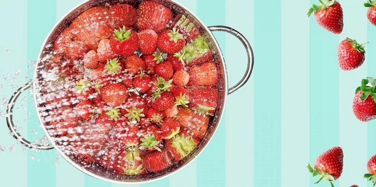 Erdbeerfrüchte im Kühlschrank trocken aufbewahren