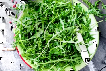 Fitness Salat Rucola Toller Geschmack und dabei gesund