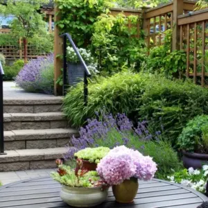Gartenbau Tipps - So wird Ihr Garten schnell üppig grün