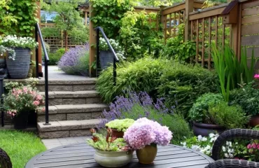 Gartenbau Tipps - So wird Ihr Garten schnell üppig grün