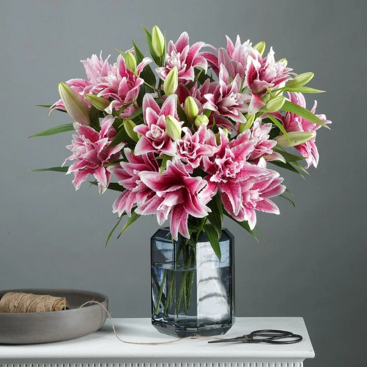 Geschenke für Muttertag - Lilien werden Ihre Mama glücklich machen