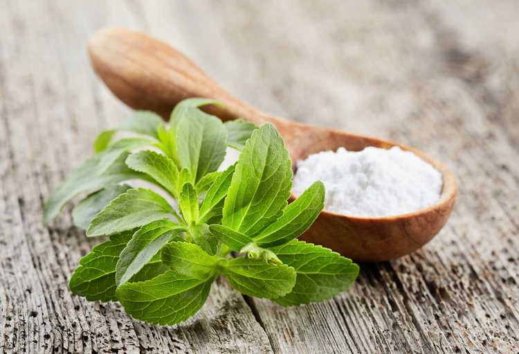 Gesunde Zuckeralternative für Diabetiker geeignet Stevia