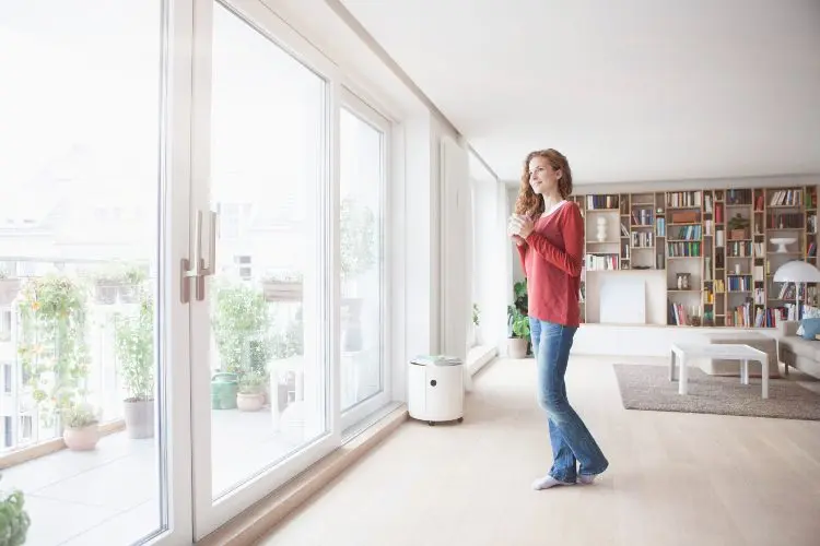 Glasfronten im Wohnzimmer Einrichtung Modernisierung Tipps